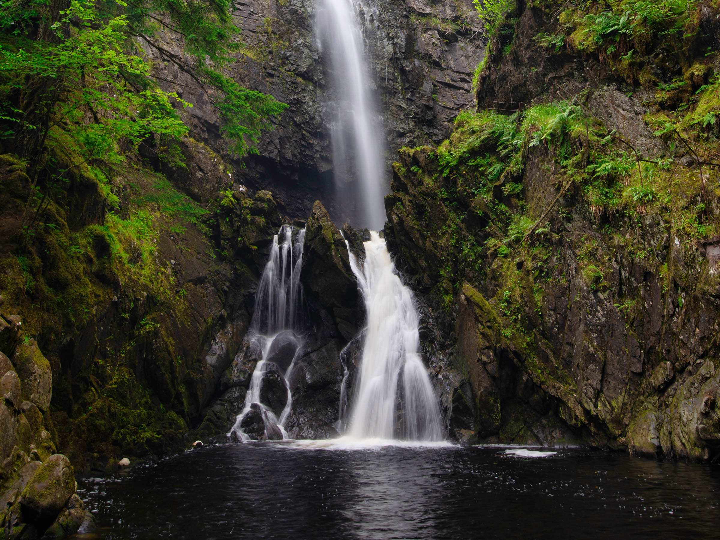 Plodda Falls