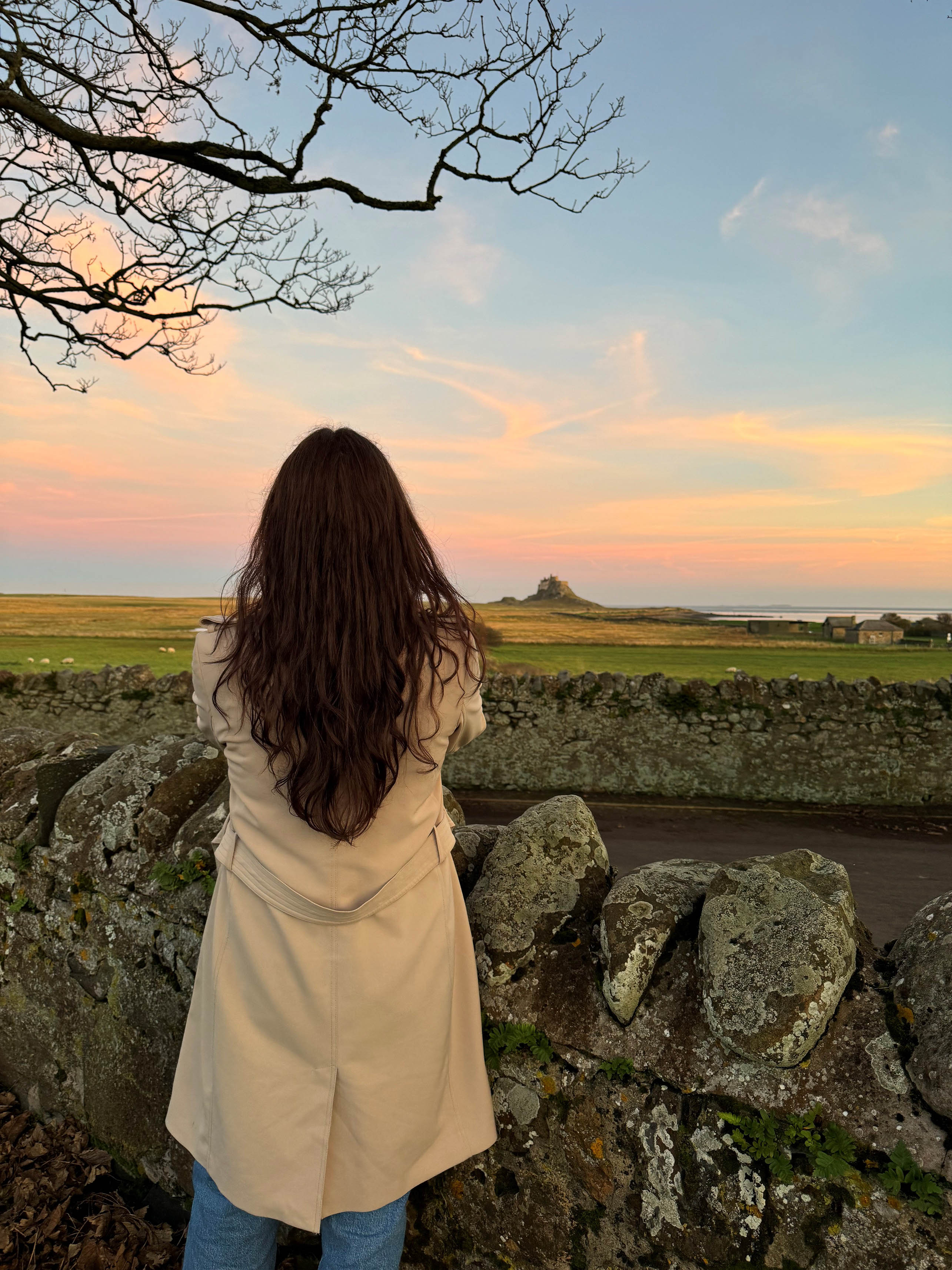Holy Island 
