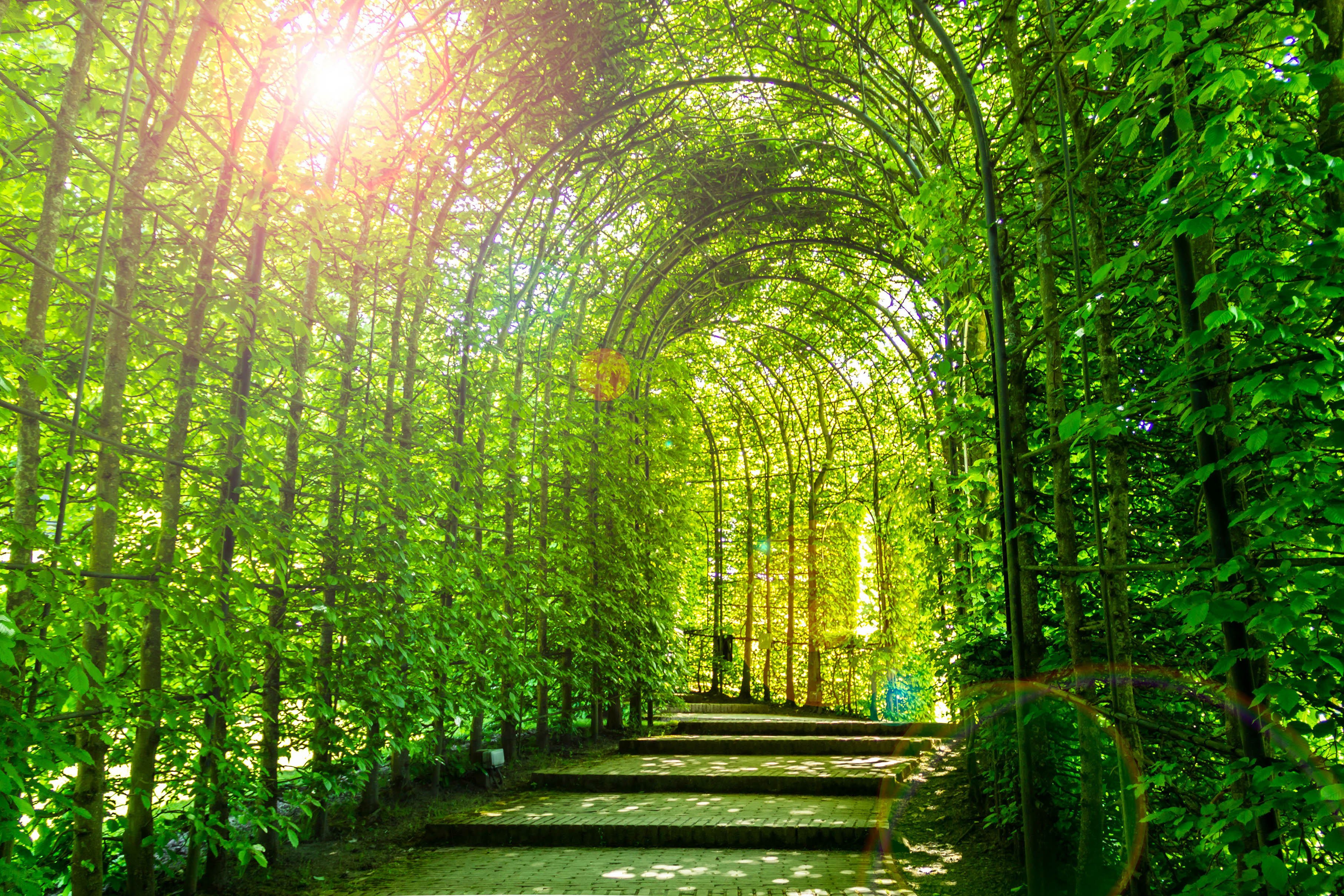 The Alnwick Garden